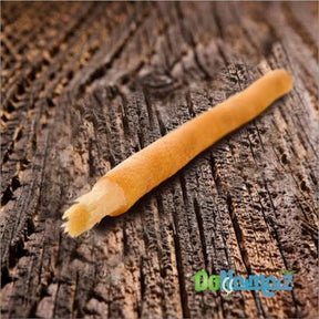 Premium Miswak + Frischhaltehülle 15cm L